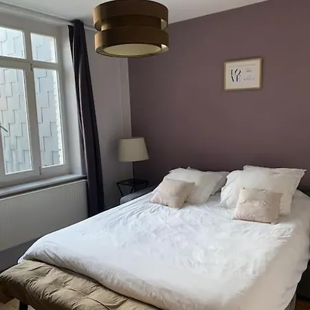 Villa Maison Entiere Proche Tram 170 M2 Jardin Parking Marcq-en-Baroeul